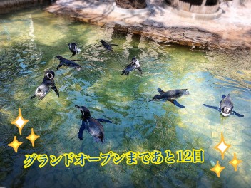 グランドオープンまであと１１日！！